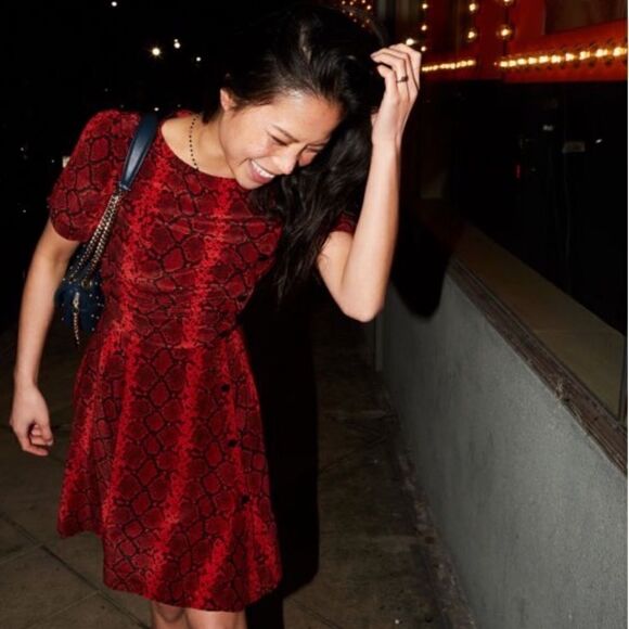 Red Black Python Snake Print Silk Blend Fit and Flare Dress - Picture 2 of 12